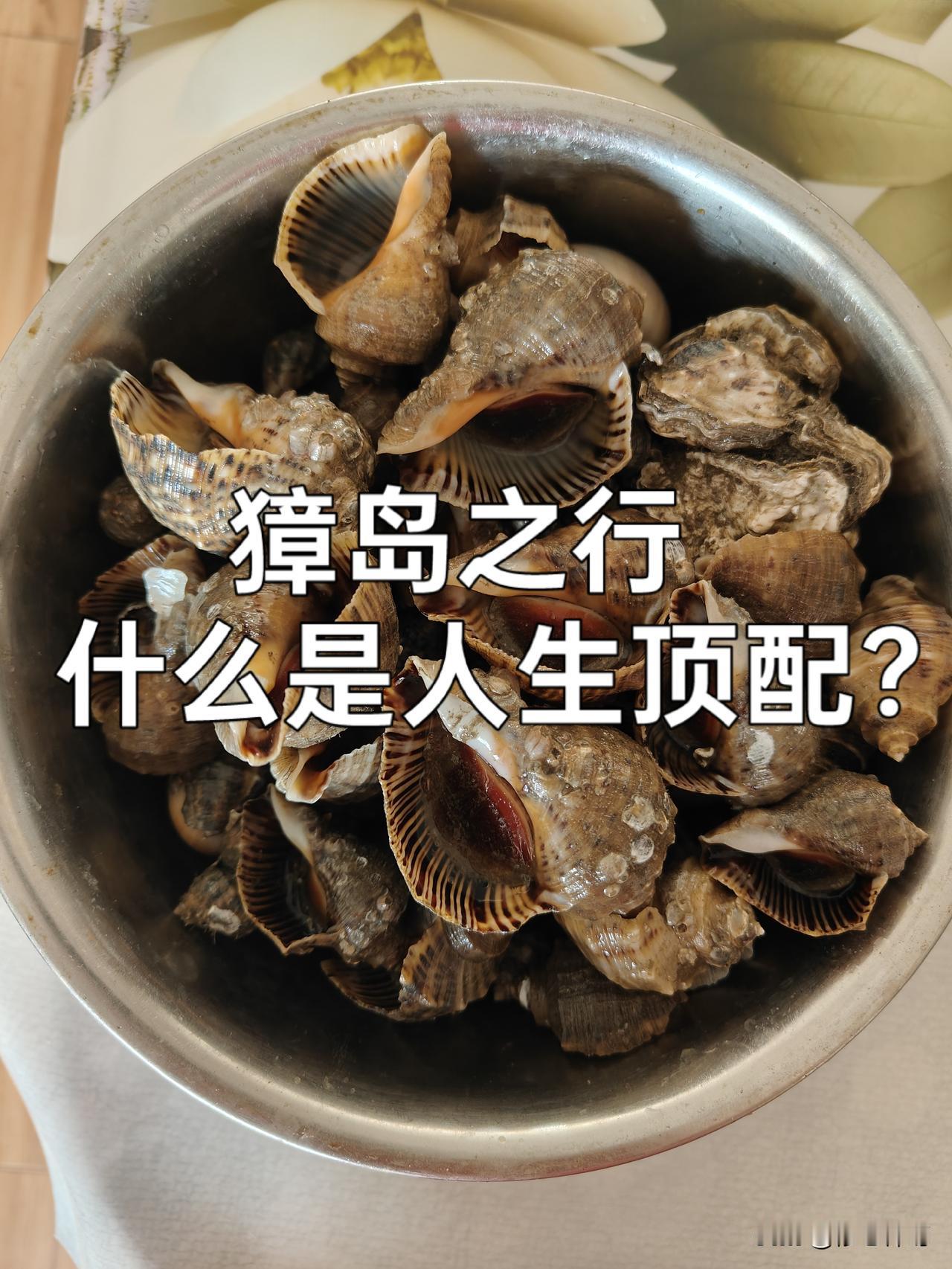 獐岛行：什么是人生顶配
 人这一生短短数十载，世间万物最后都无法带走，唯一属于自