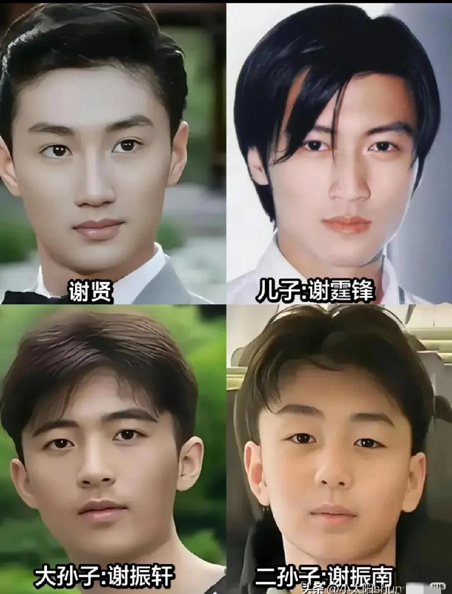 三代人还是谢霆锋最帅，他的小儿子谢振南长相最差。
