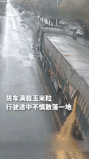太暖心了，货车玉米粒全撒倒在地上，热心路人这波操作火上人民日报了。
 
从视频里