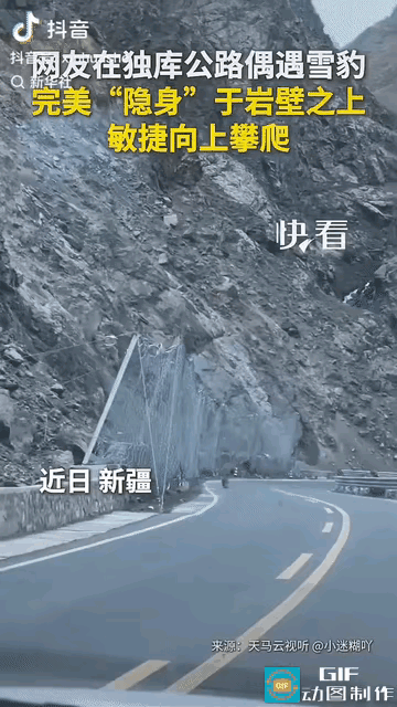 “上新华社了！”
新疆，一对男女驾车行驶在独库公路上。副驾女子不经意抬头看了一眼