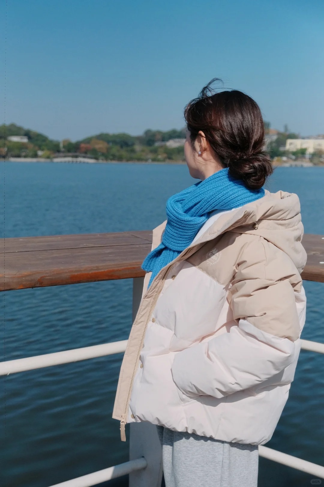 现在的福建，栓条狗都能涨停，太疯狂了，我的天 