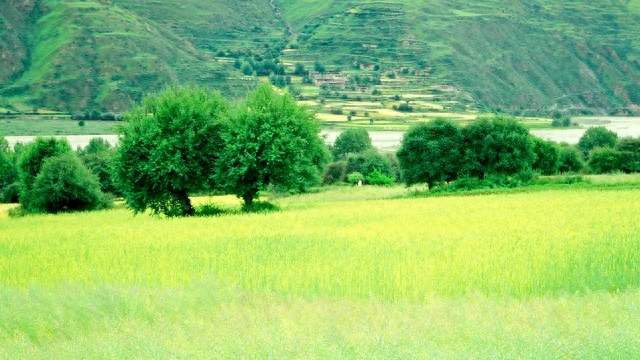 杨行密：被严重低估的乱世守护者！守住江南半壁江山。