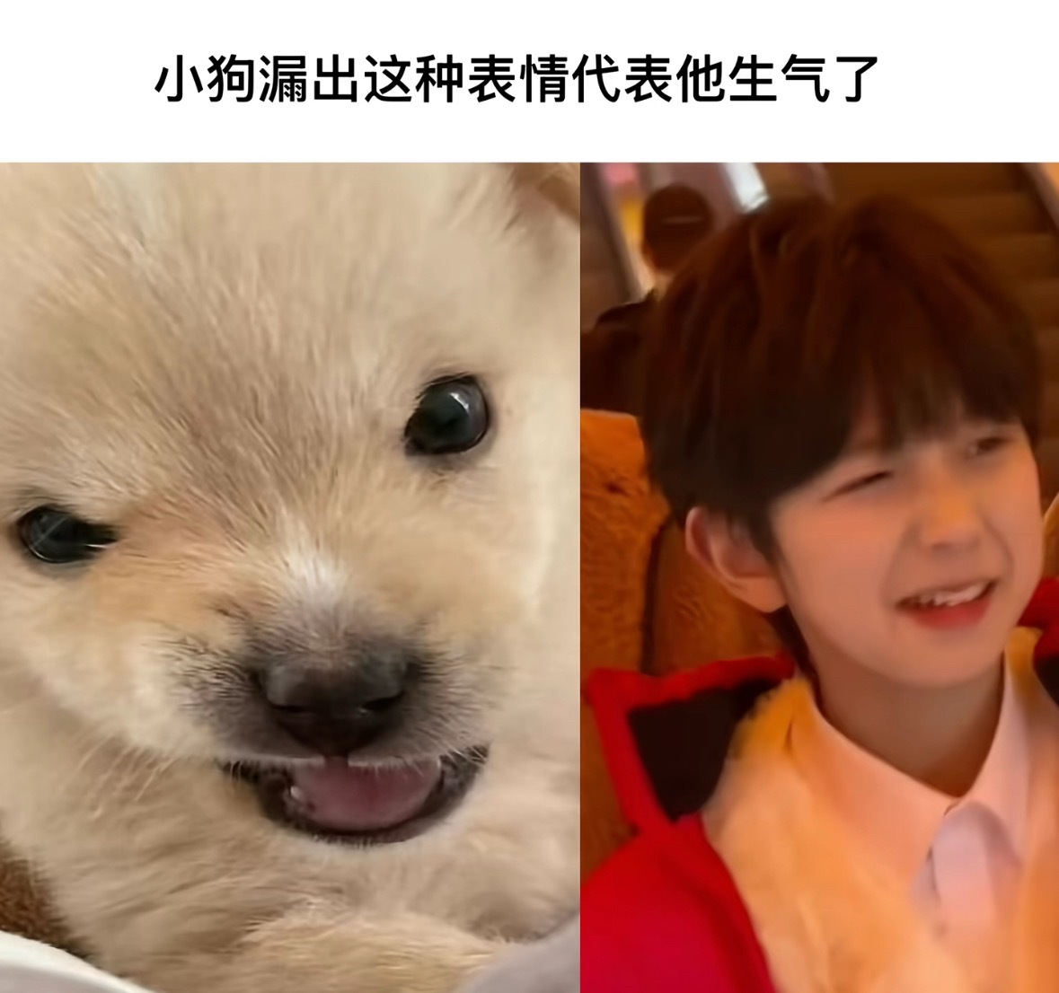 额 啊？！那样很卡哇伊诶 
