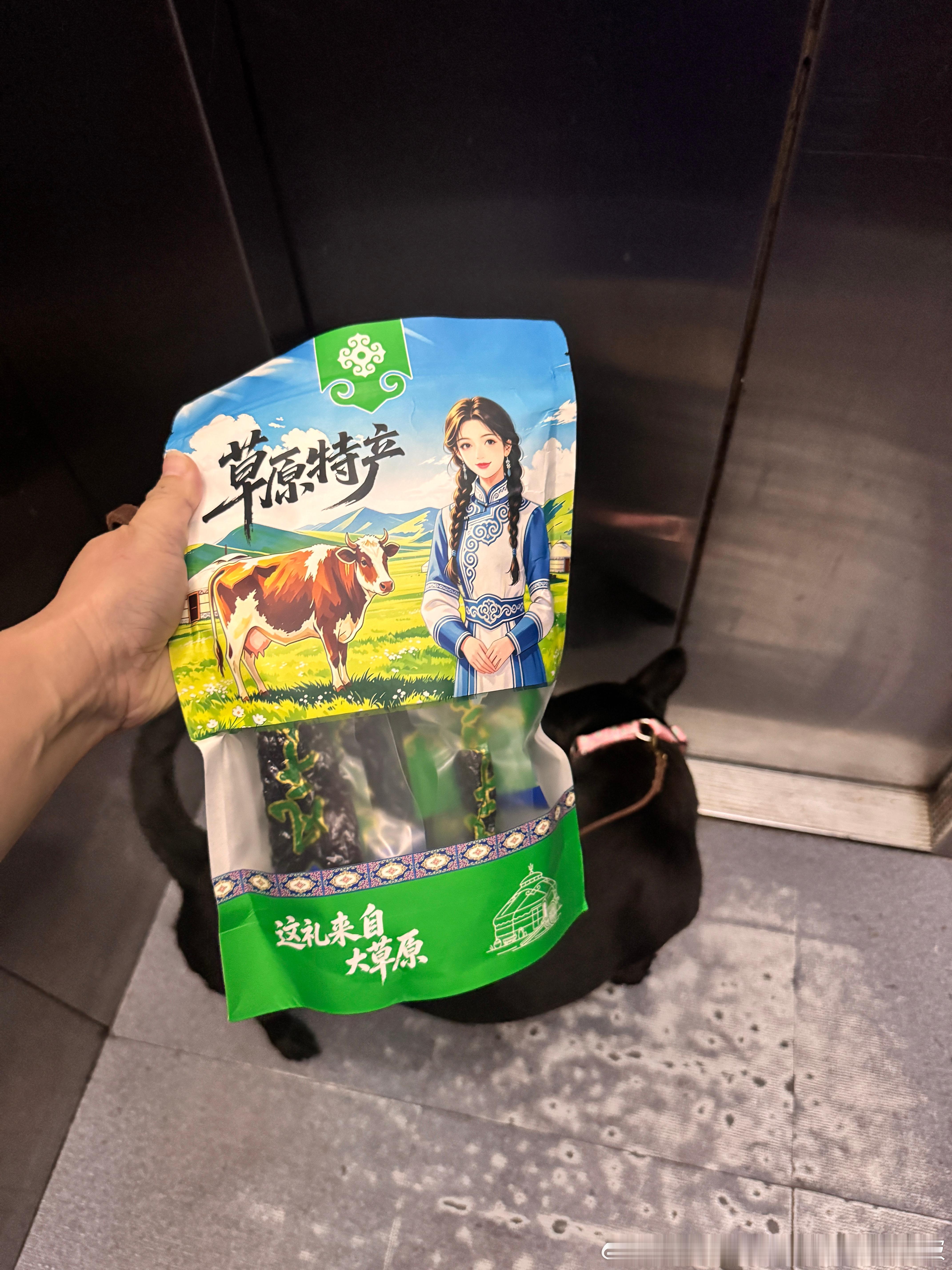 去狗宝家～ ​​​
