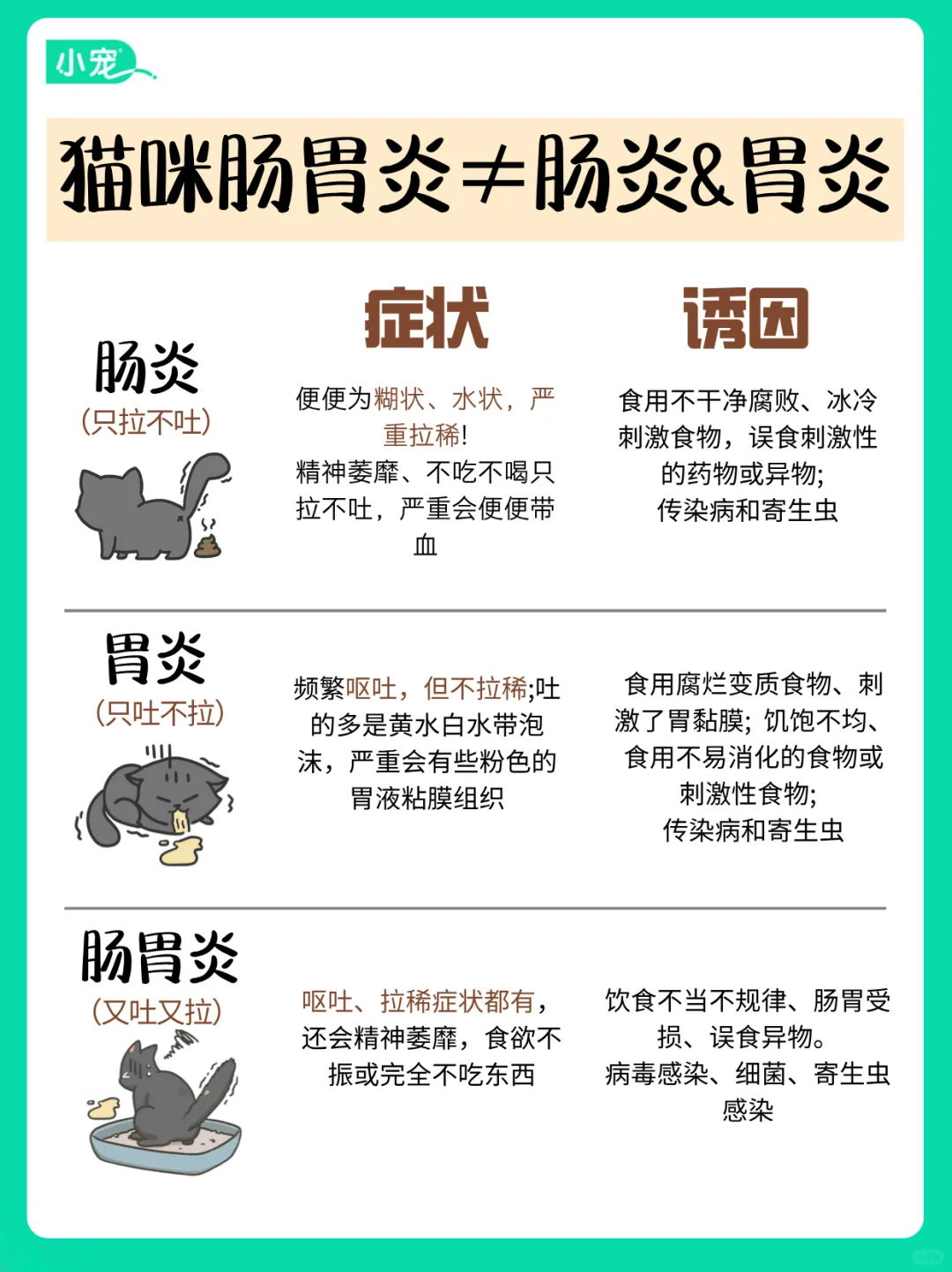 别混淆⚠️ 猫咪肠胃炎≠肠炎或胃炎