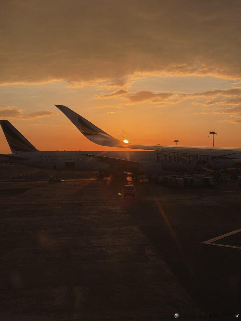 重返非洲✌🏼先来杯埃塞黑咖啡☕️塞舌尔奥米塔夫游世界埃塞俄比亚