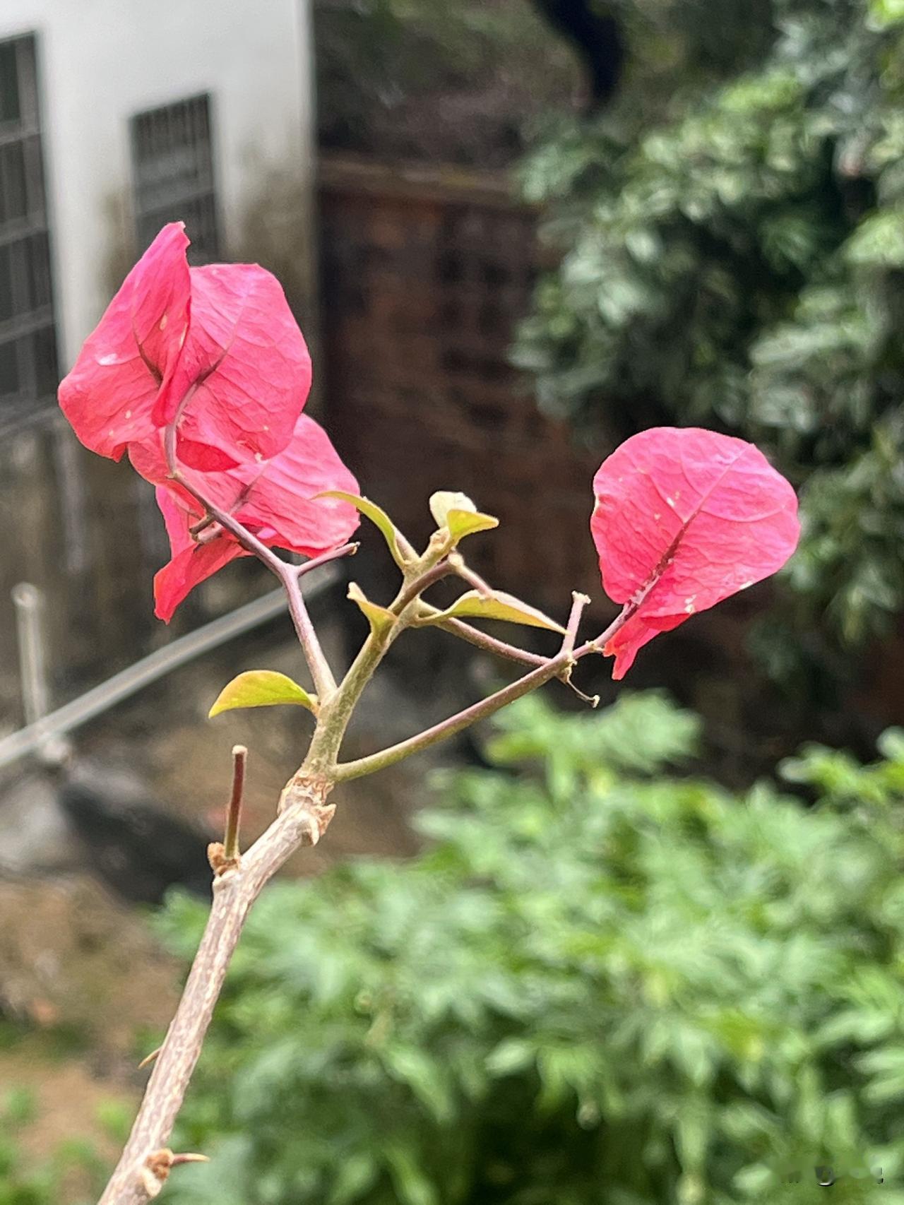 昨天刷到一个男的，
居然说出了
这样一番奇葩的话，
你们觉得是支持还是反对呢？