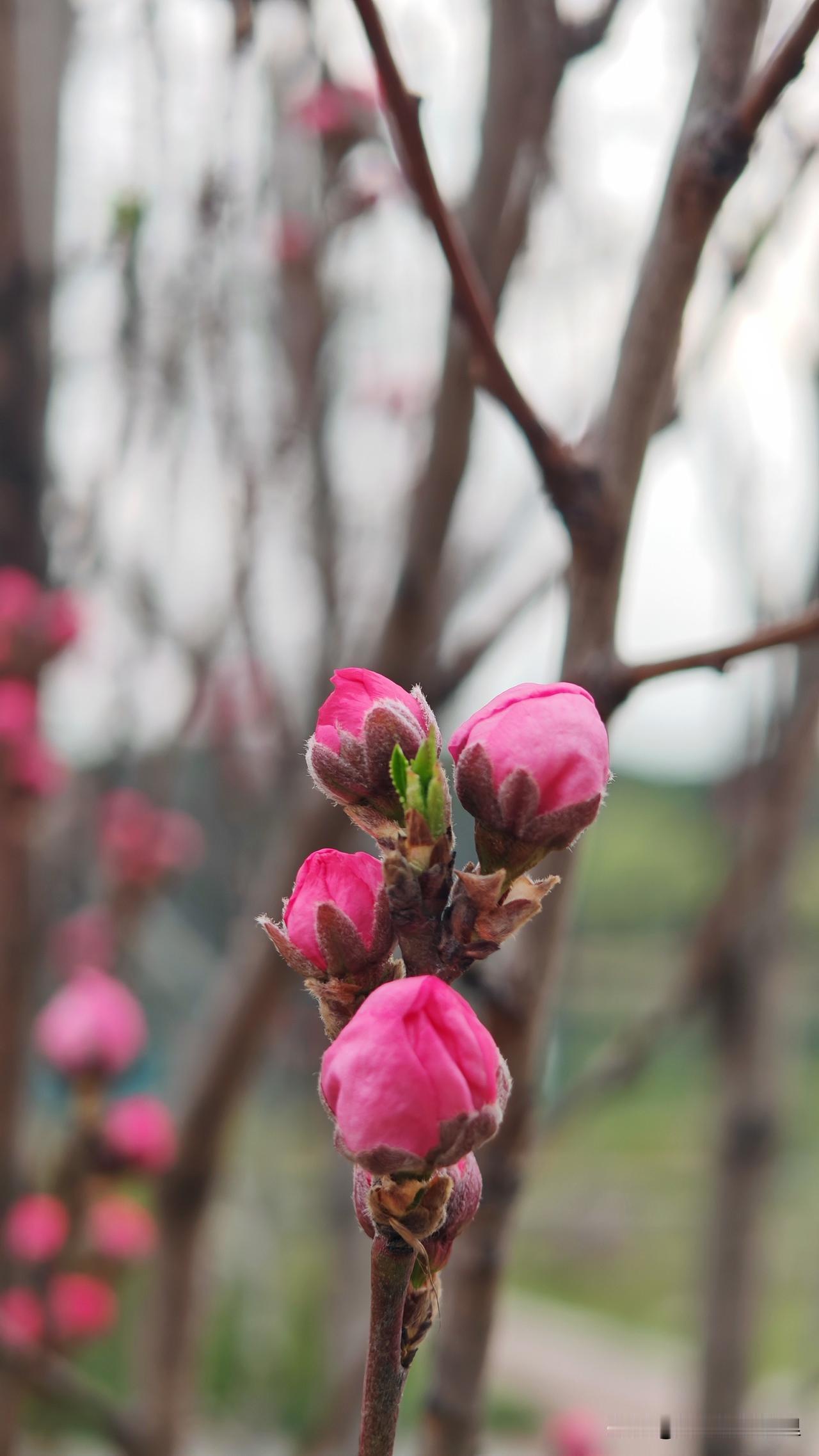 绩效考核的目的是什么💡给中小型制造企业分享一个“工序达标奖+降本分成”的激励方