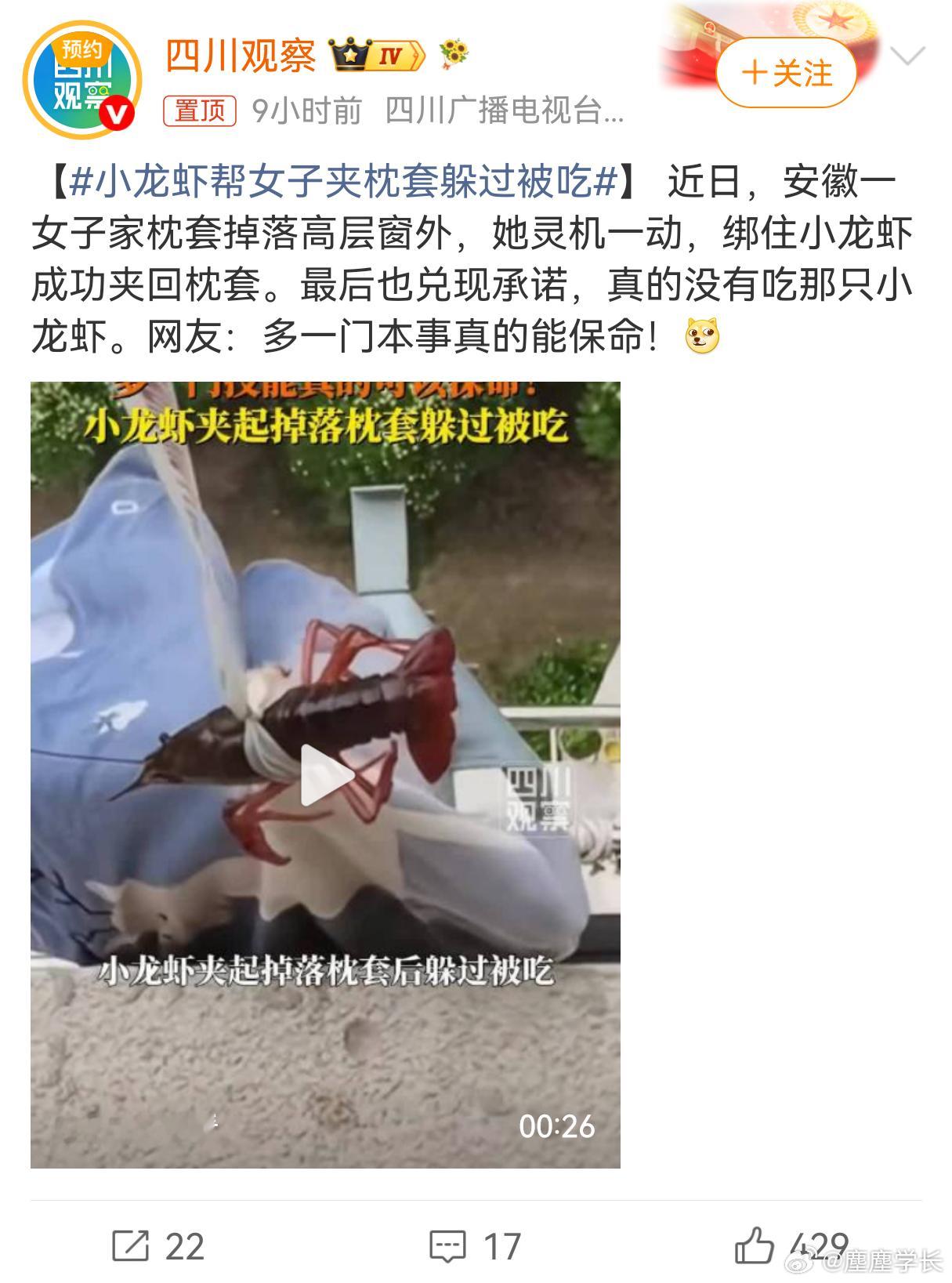 小龙虾帮女子夹枕套躲过被吃刷到一件又好笑又神奇的事，女子清洗小龙虾准备下锅，收拾