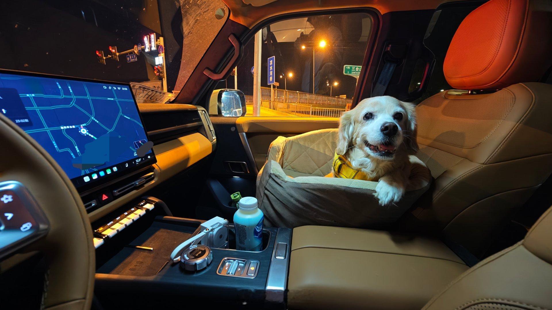 小可坐V27，这个车视野高！时睦华的iCAR V27时哥大女儿小可（狗）