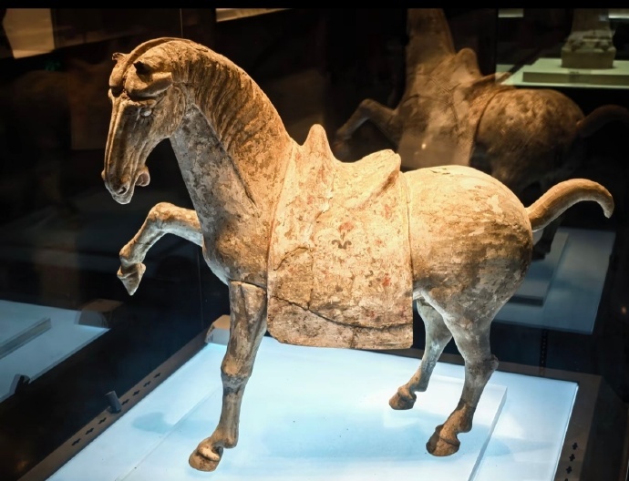 洛阳博物馆通报唐代陶马倒下断裂洛阳博物馆情况说明 世界就是个巨大的草台班子，各行