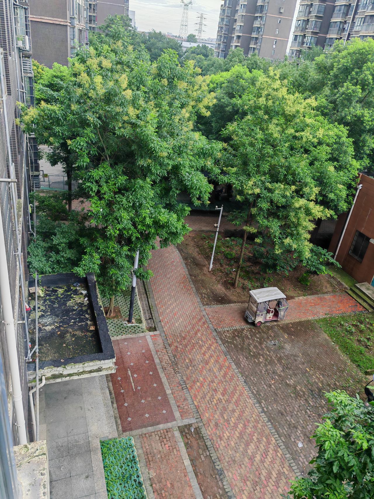 7月6日，武汉阴天，小雨到大暴雨，大风蓝色预警，最高气温30度，最低气温22度，
