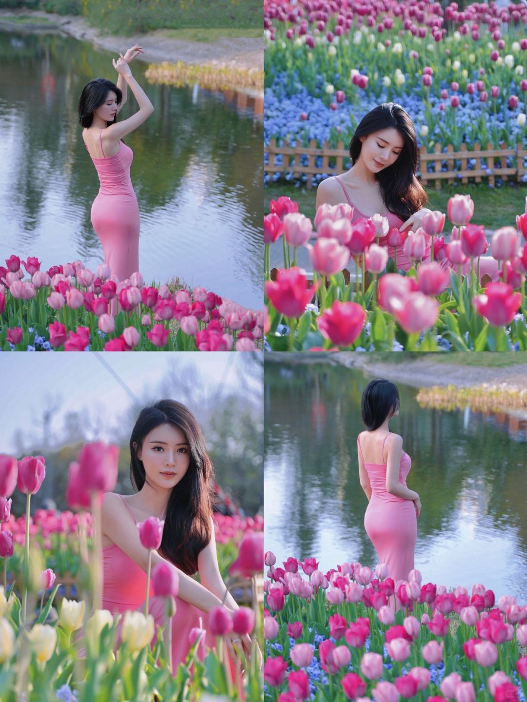 魔都最美郁金香拍摄地🌷
