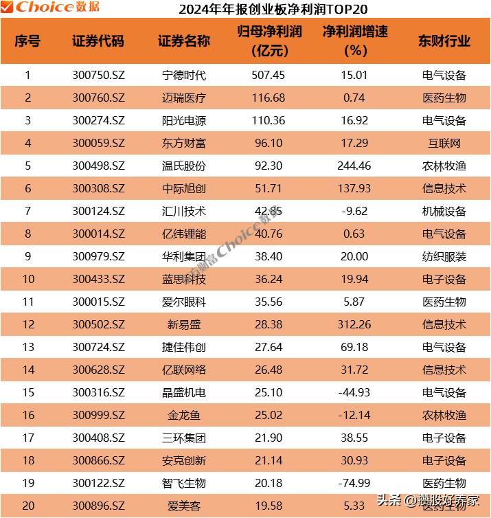 2024年报科创板净利润TOP20
