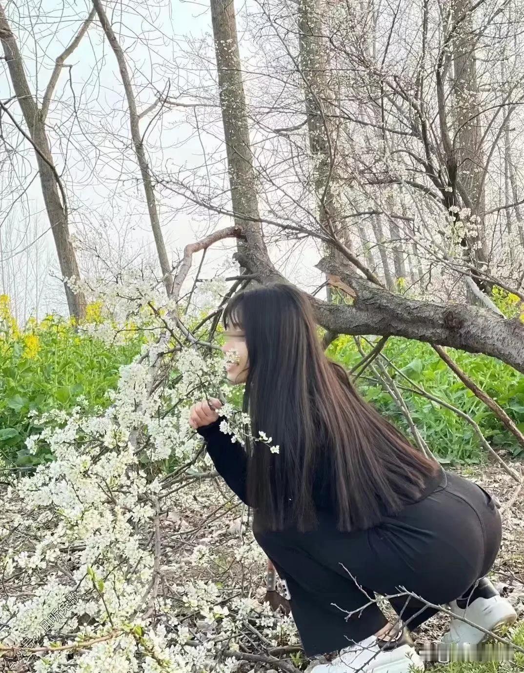 在这张充满春天的图里，依稀可以看出款式略显保守