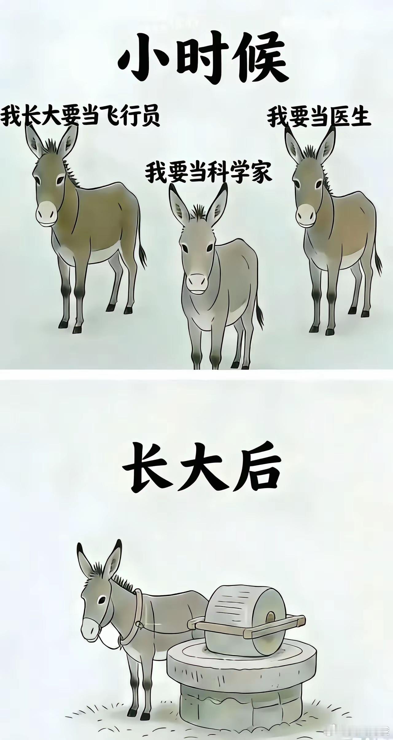 在大A价值投资~ 