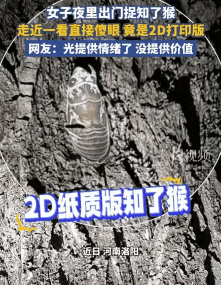 真的要被这波整蛊笑不活了！
深夜夫妻俩兴冲冲进山抓知了猴，丈夫打手电、女子负责抓