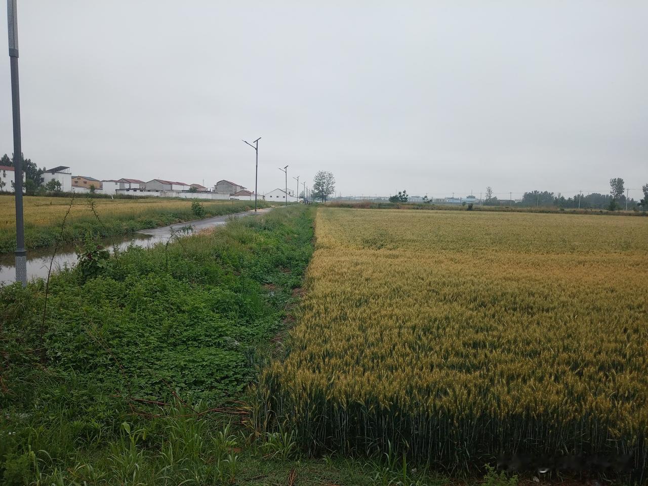 四月二十八早看天，旱涝不用问神仙
四月二十八，无雨干一夏
四月二十八是晴天，六月