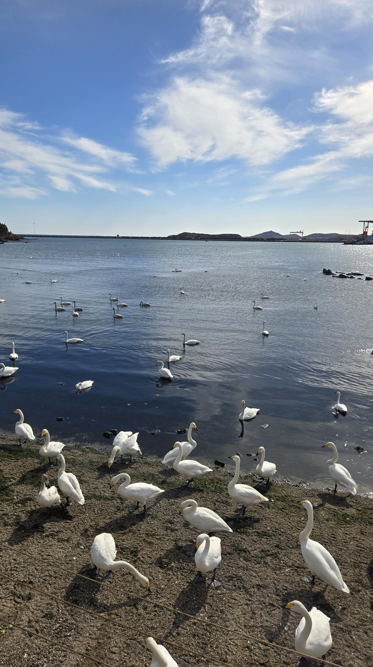 在商场看见一位父亲拉着儿子去洗手，儿子一直反抗不洗。
这位父亲虽然着急，但却是央