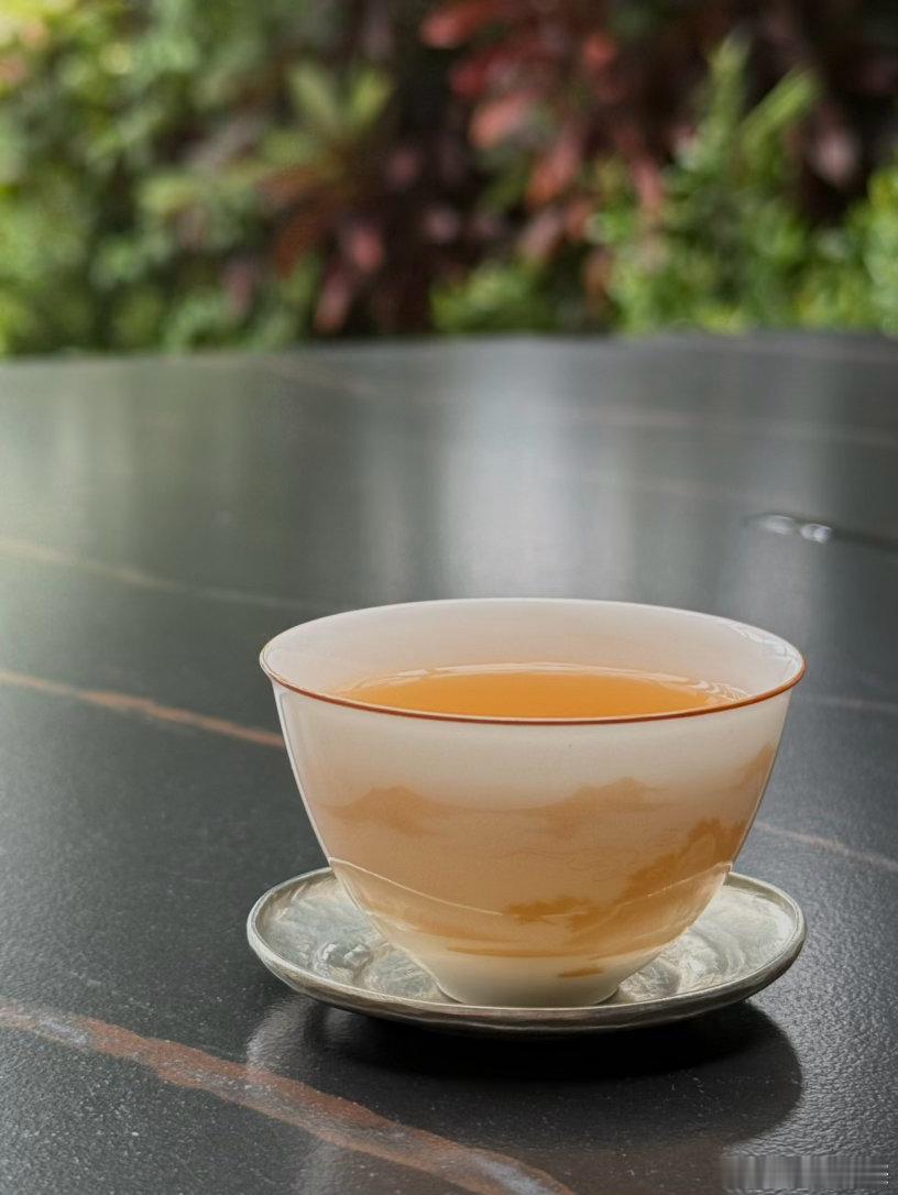 今年的桐木挂墩竹林野生老枞！我们家的挂墩老枞是茶园里种植的群体种，半野放管理，放