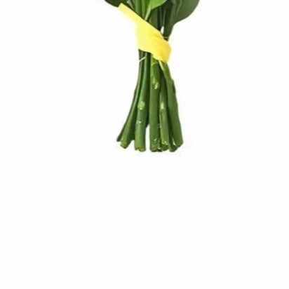 世上没有白费的努力，更没有碰巧的成功，不要揠苗助长，不要急于求成，只要一点一点去