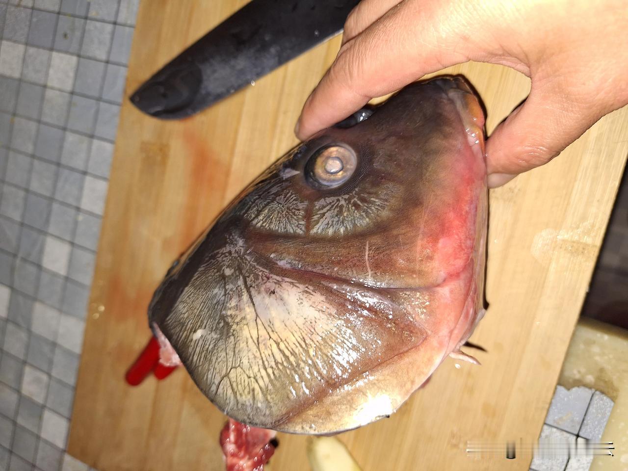 今天晚上炖骷髅，用来自焉耆县博斯腾湖的一种我叫不上名字来的鱼的头，这么大，估计有