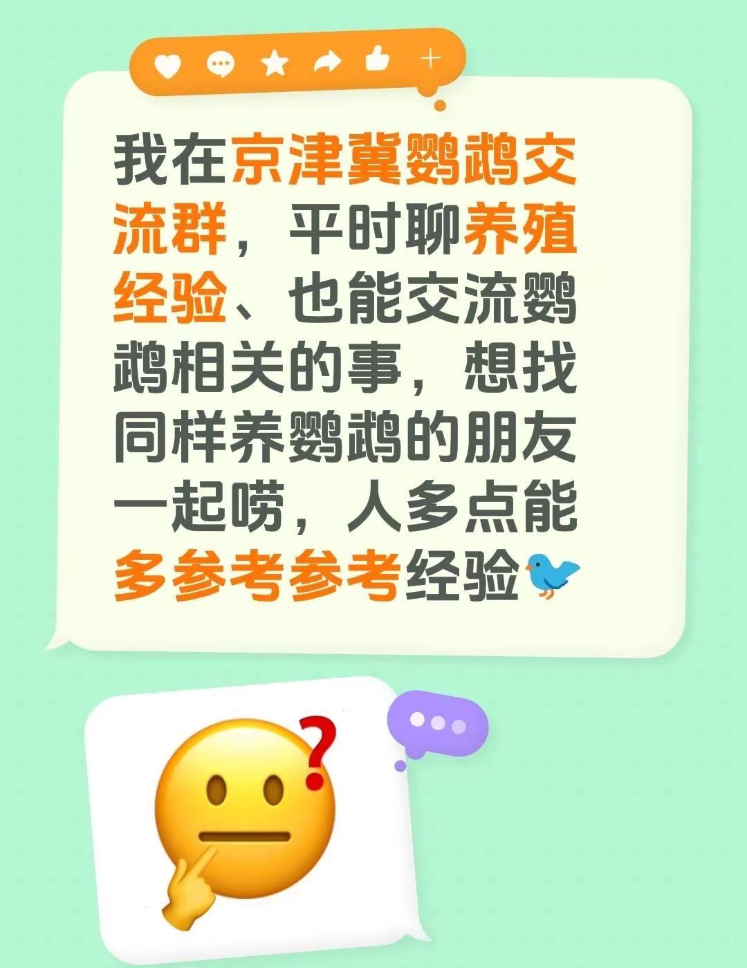 招募继续。来自@群聊·京津冀鹦鹉沟通交流群：我在京津冀鹦鹉交流群，平时聊养殖经验