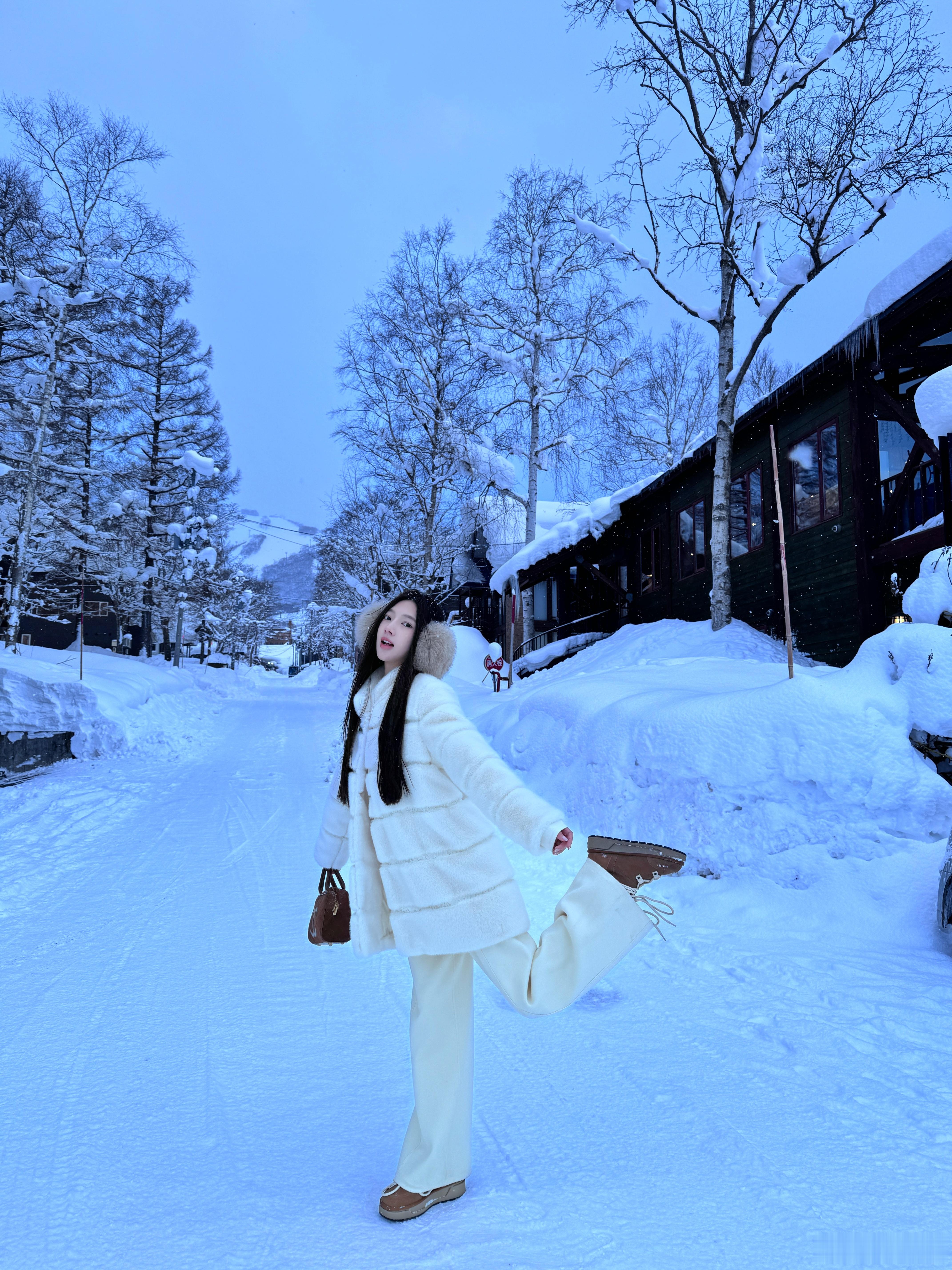 一组来自二世谷的大雪纷飞存图❄️  