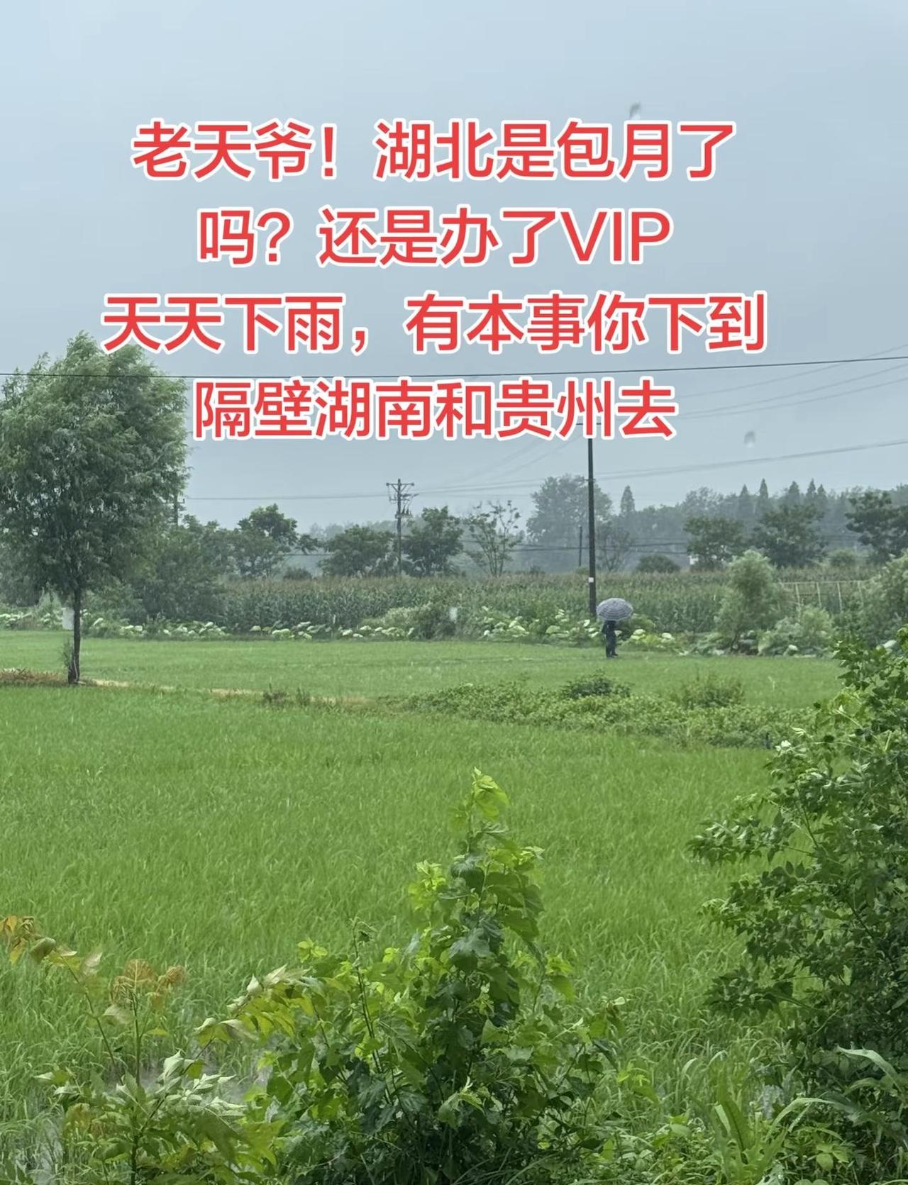 老天爷！湖北是包月了吗？还是办了VIP天天下雨，有本事你下到隔壁湖南和贵州去！暴