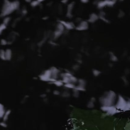 情感语录 好的爱情是锦上添花，糟糕的感情，只会掏空你自己。- 很多人喜欢你，只是