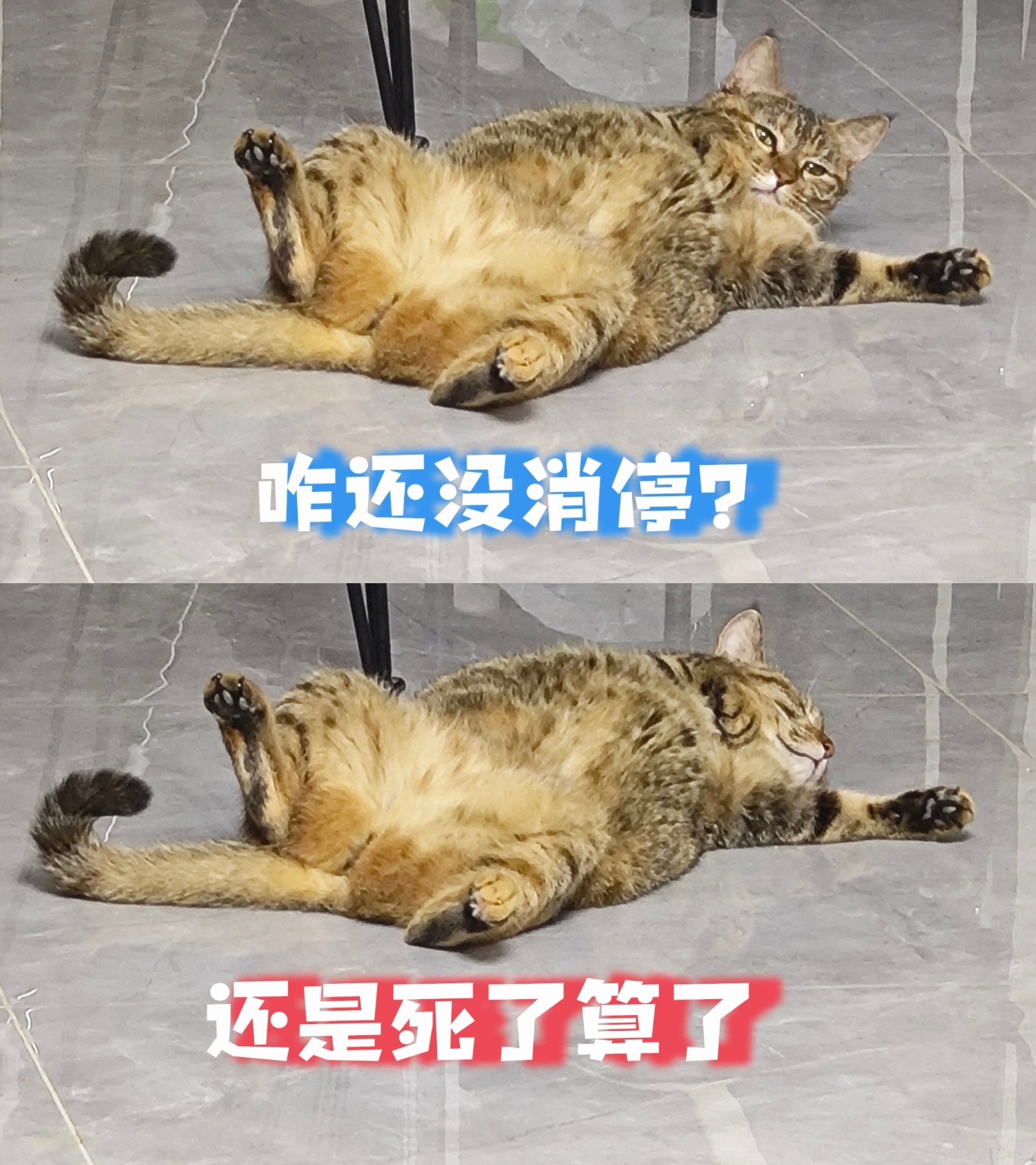 我噜莫名其妙上热搜被集火的原因有:工作室拉胯，站姐扯头花，捡信掉肩带，前相方共创