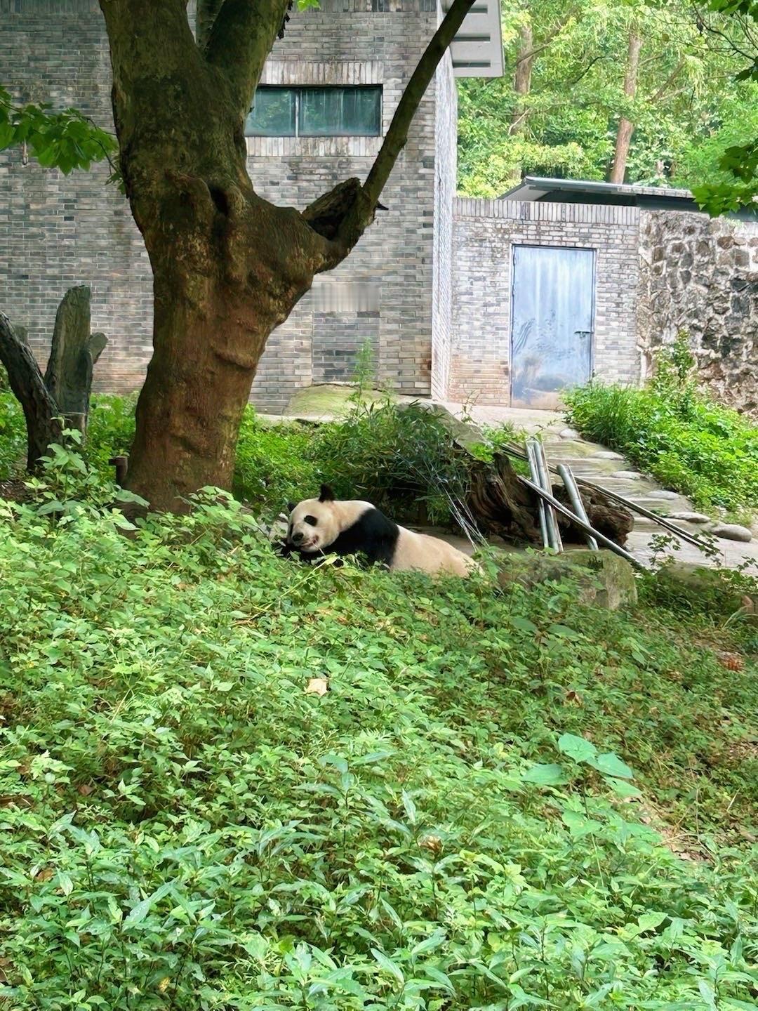 早上好！周日慢悠悠上线，周末的快乐进入尾声啦。抛开所有压力，宅家躺平或是出门闲逛