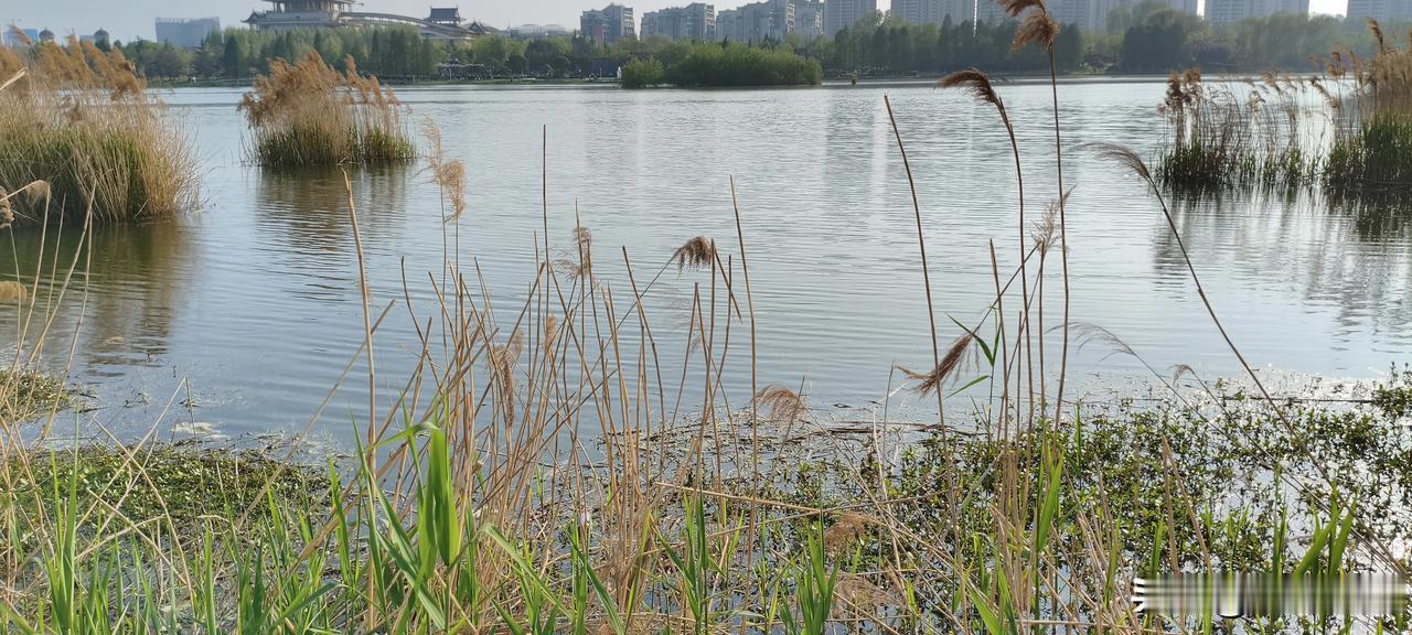 白天锻炼身体要有两大注意，或者说大原则。
说之前一定要注意说得是白天这个前置条件