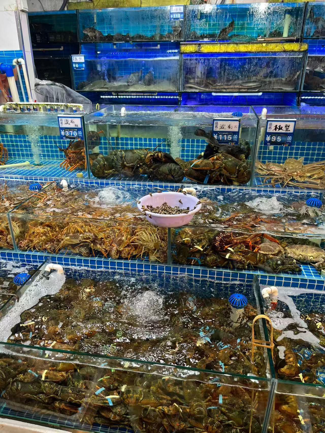 菜市场逛了一圈，我发现啥都想买，尤其是帝王蟹，哈哈青岛