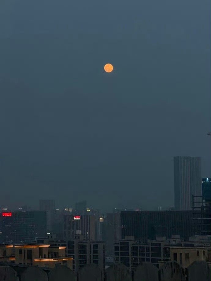 人生的困扰大抵来自四个方面：不可避免的死亡，内心深处的孤独感，我们追求的自由以及