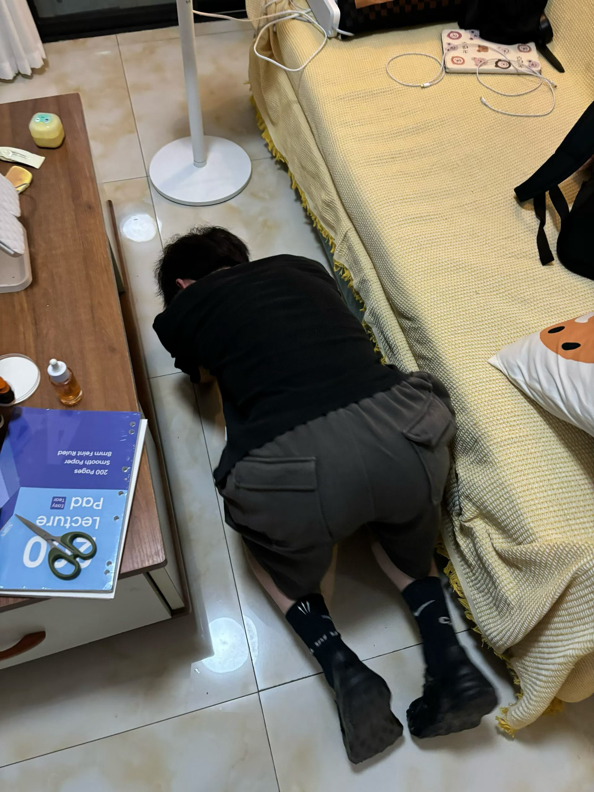 在朋友家找猫糟糕的姿势