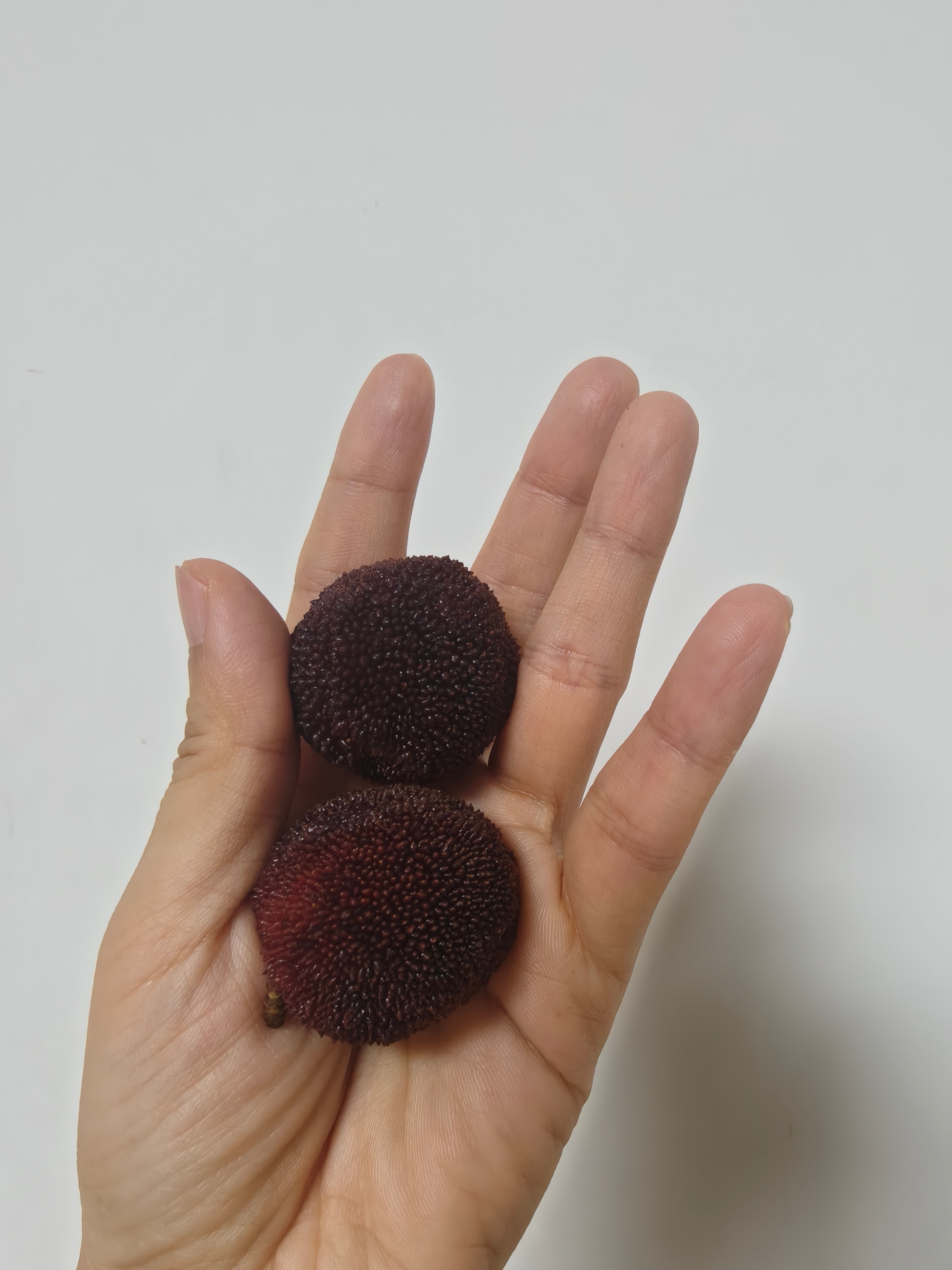 黑炭快结束了，东魁马上来了还是东魁过瘾！兰溪马涧杨梅