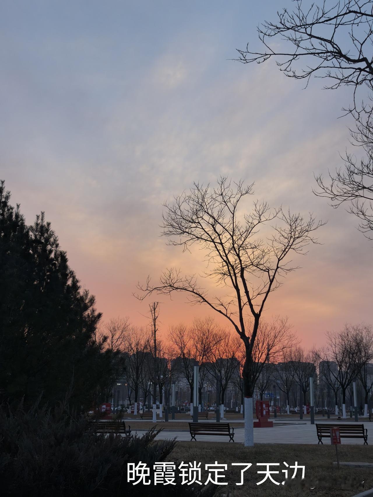 我的镜头日记

用镜头捕提流逝时光，以流为证，让霞光定格。