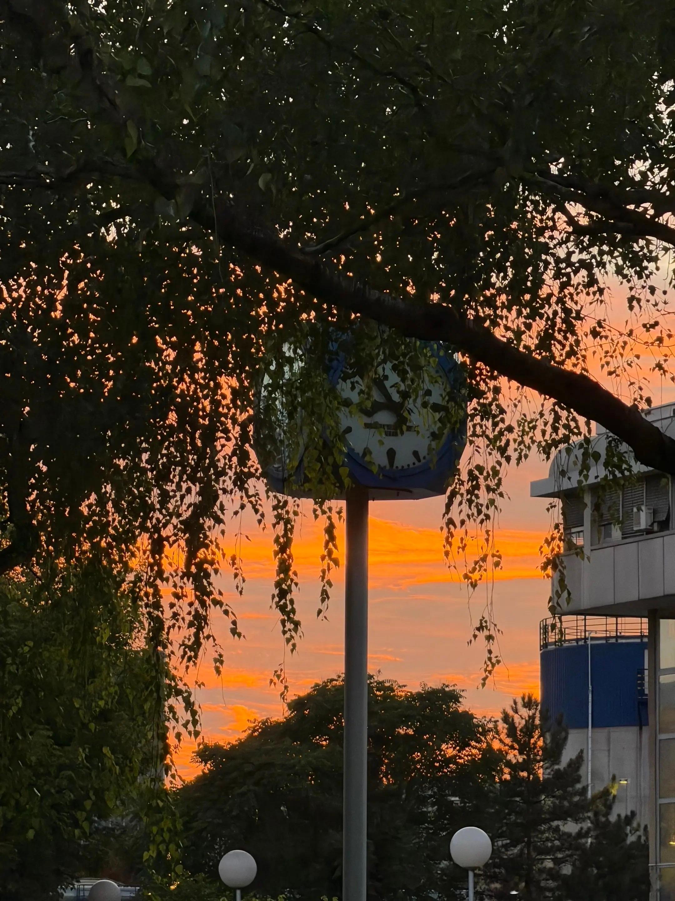 徐奕：昨天太重 明天太远 今天生日🐣王晓彤: 哈哈哈哈我必须是the firs