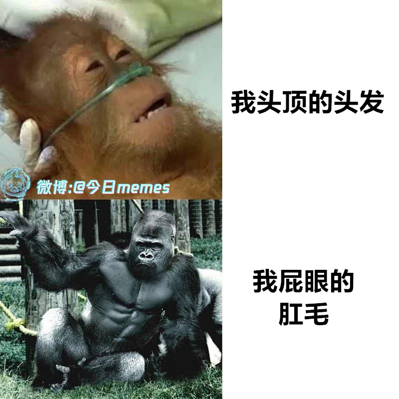 钢（9gag） 今日meme[超话]   