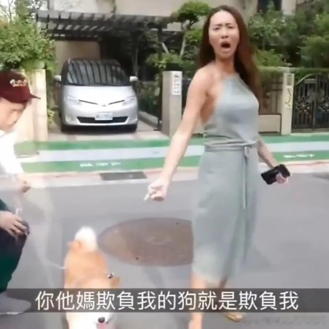 3589我看见别人骂我辱追的推： 
