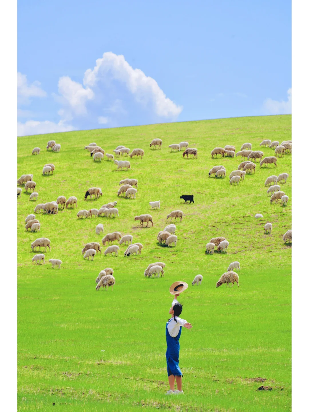 谁懂啊‼️呼伦贝尔美得像是行走在漫画里🖼️