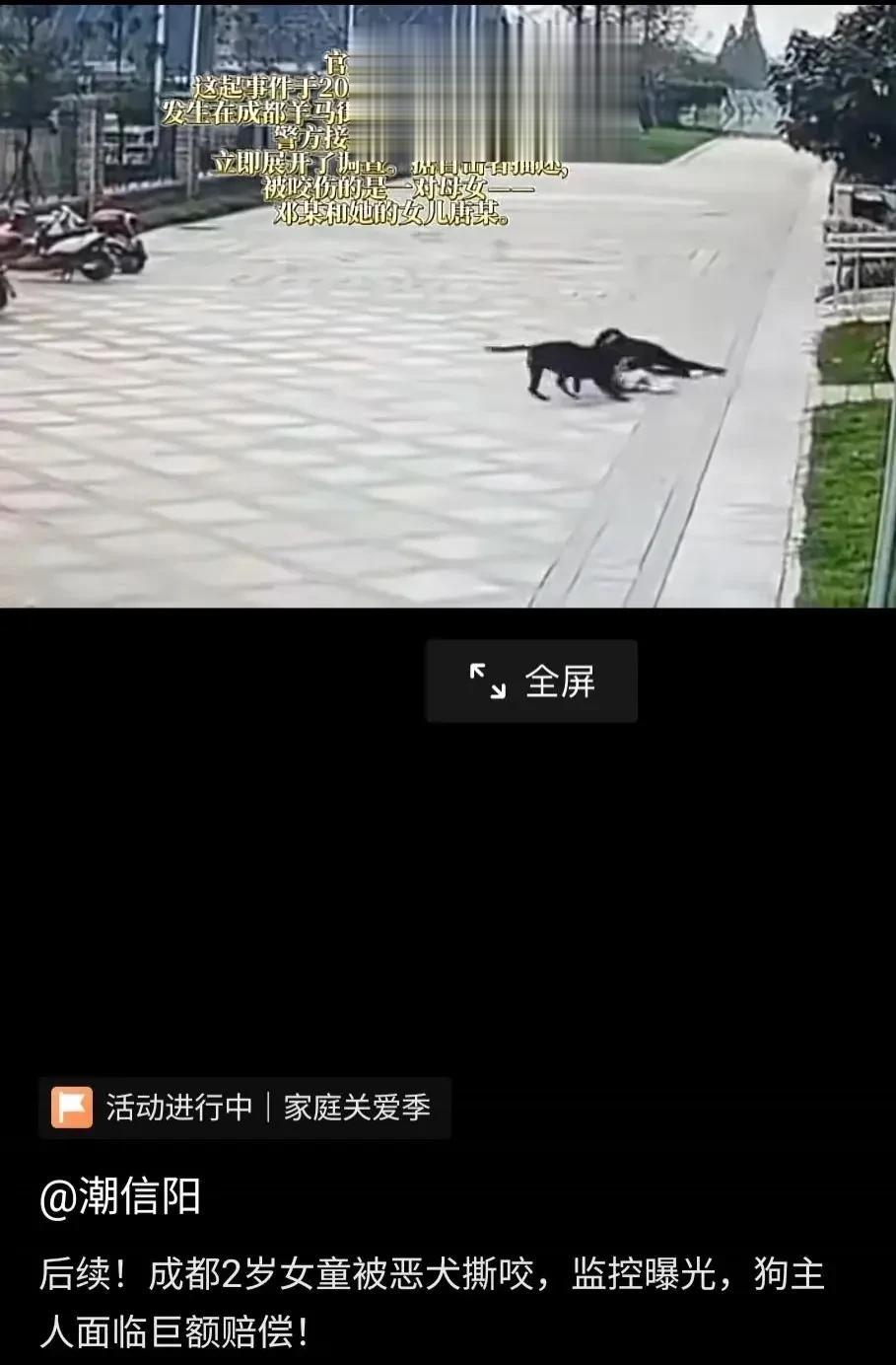 看了狗咬人的悲剧，感觉愤怒。
国家有关部门明确禁止饲养大型犬，但每年还有恶犬伤人