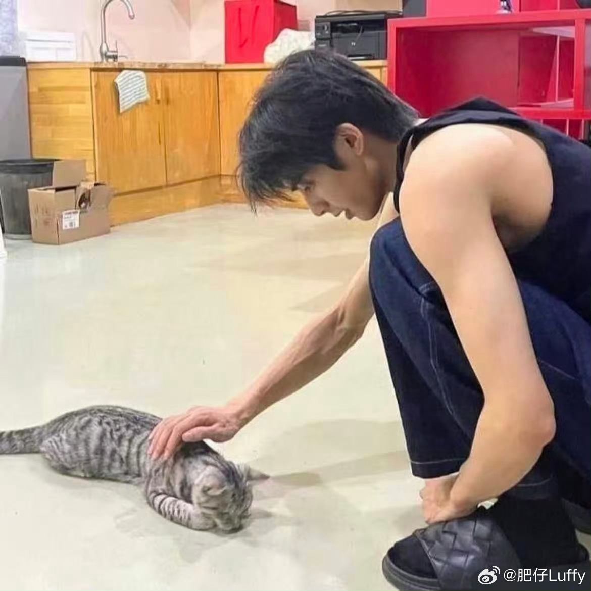 宋威龙姜太显异父异母亲兄弟宋威龙和姜太显逗猫照，韩国网友傻傻分不清，姜太显完全档