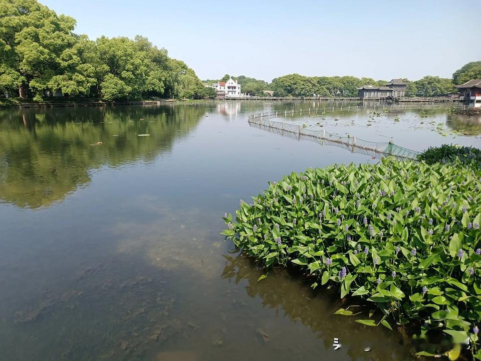 夏日生活打卡季美景如画