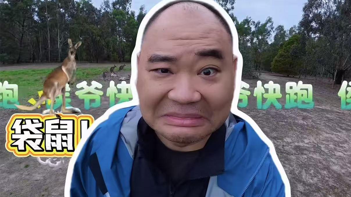 侯震澳洲荒野求生，带大家看袋鼠，全程碎碎念！德云社侯震在澳洲上演荒野求生，漫步野