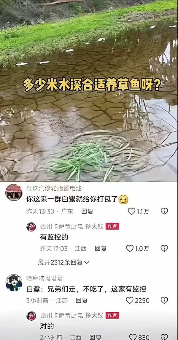 对的 