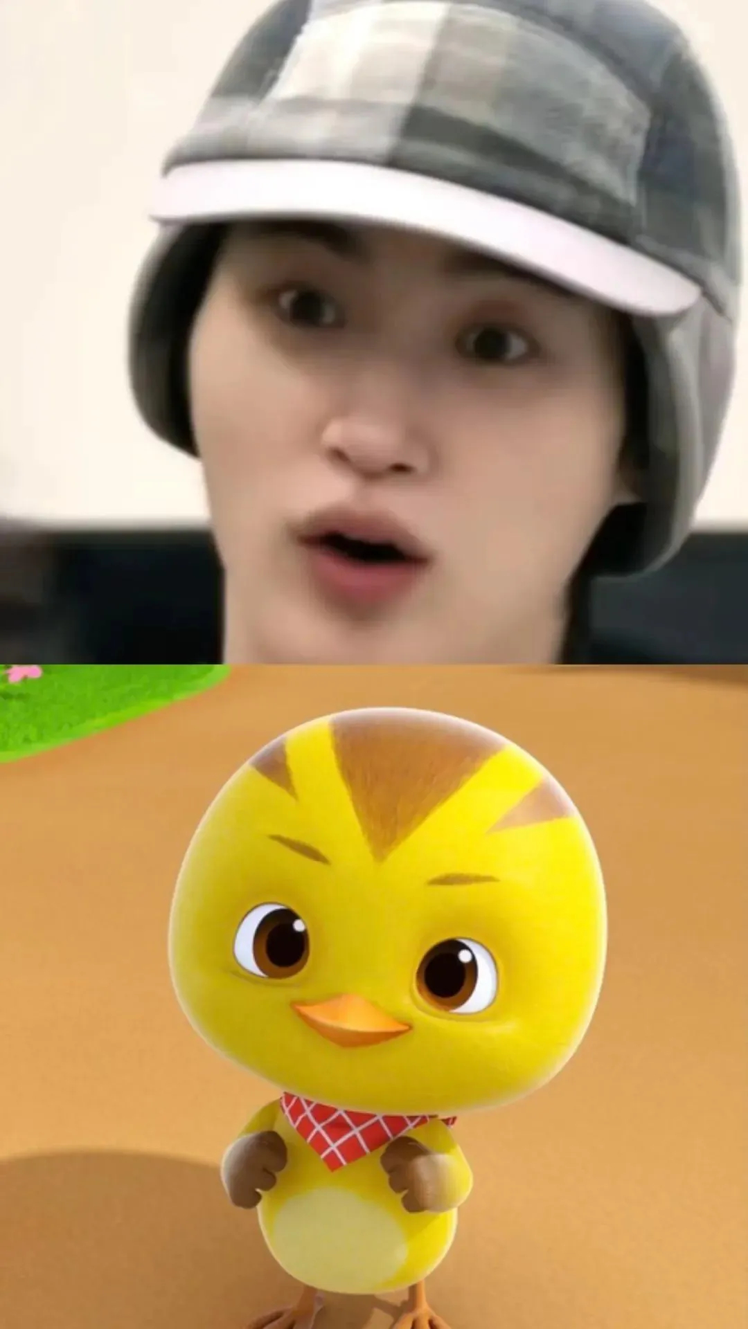 这几天经常看到韩筒发的边哥和这个🐥然后🐥的介绍简直说的就是边哥本人：清澈又纯