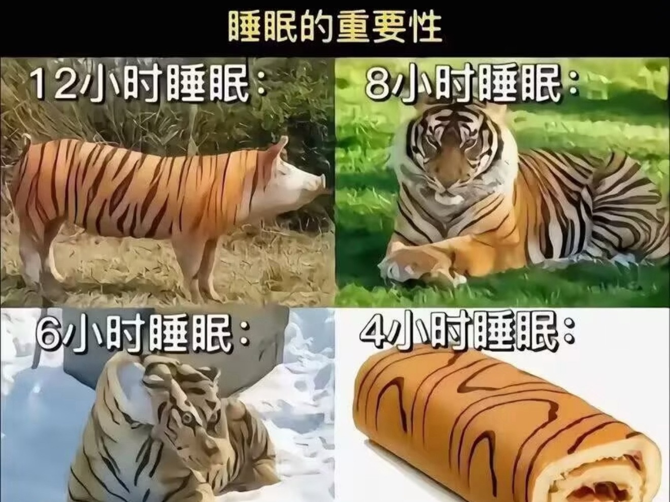 睡觉的权威性我后知后觉，这几天因为各种原因一直没睡好，现在感觉确实思维都变迟钝了