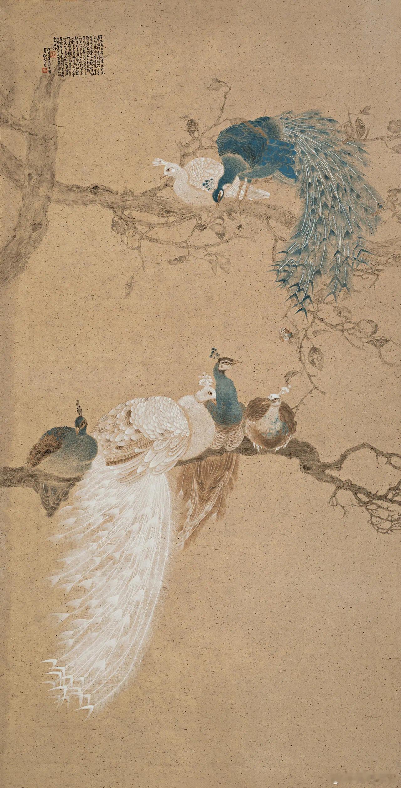 王德芳 · 秀羽珍禽 ​​​